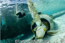 Flying under the sea... by Francisco Nakahara 